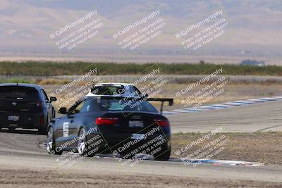 media/Oct-04-2025-OnGrid (Sat) [[44bd565ffa]]/Yellow Group/Grapevine/